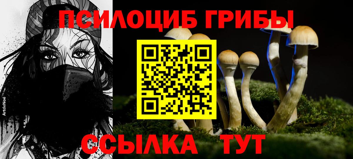 Абинск  где купить наркоту  Вход с VPN  Галлюциногенные грибы прущие грибы 